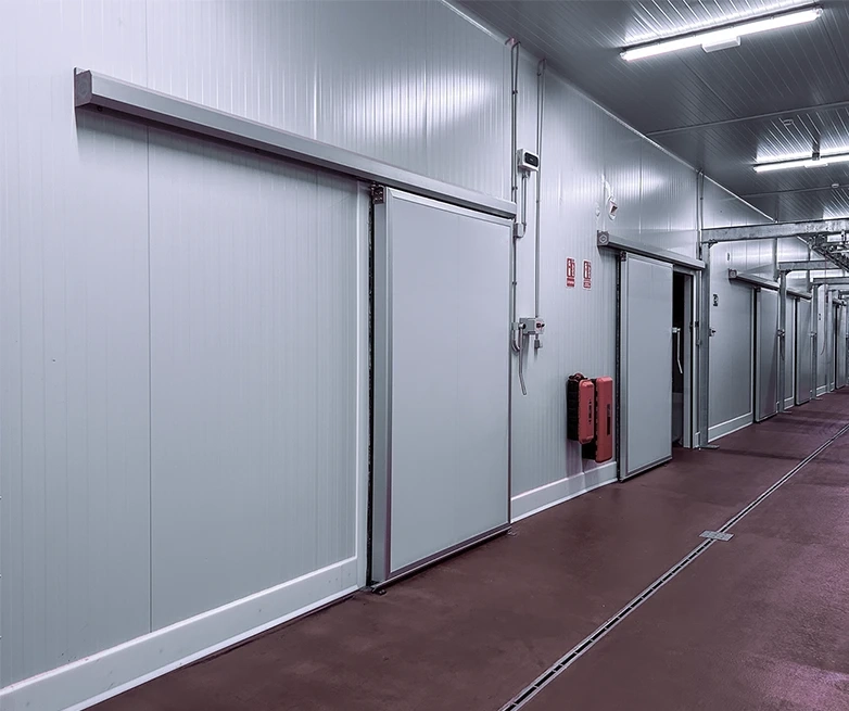 Puertas Frigorificas corredera, proyecto Cárnico Torrevieja